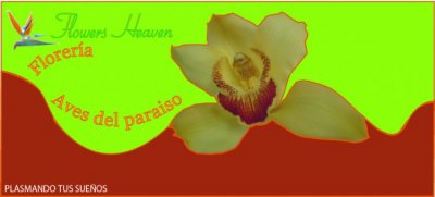 Aves del Para�so